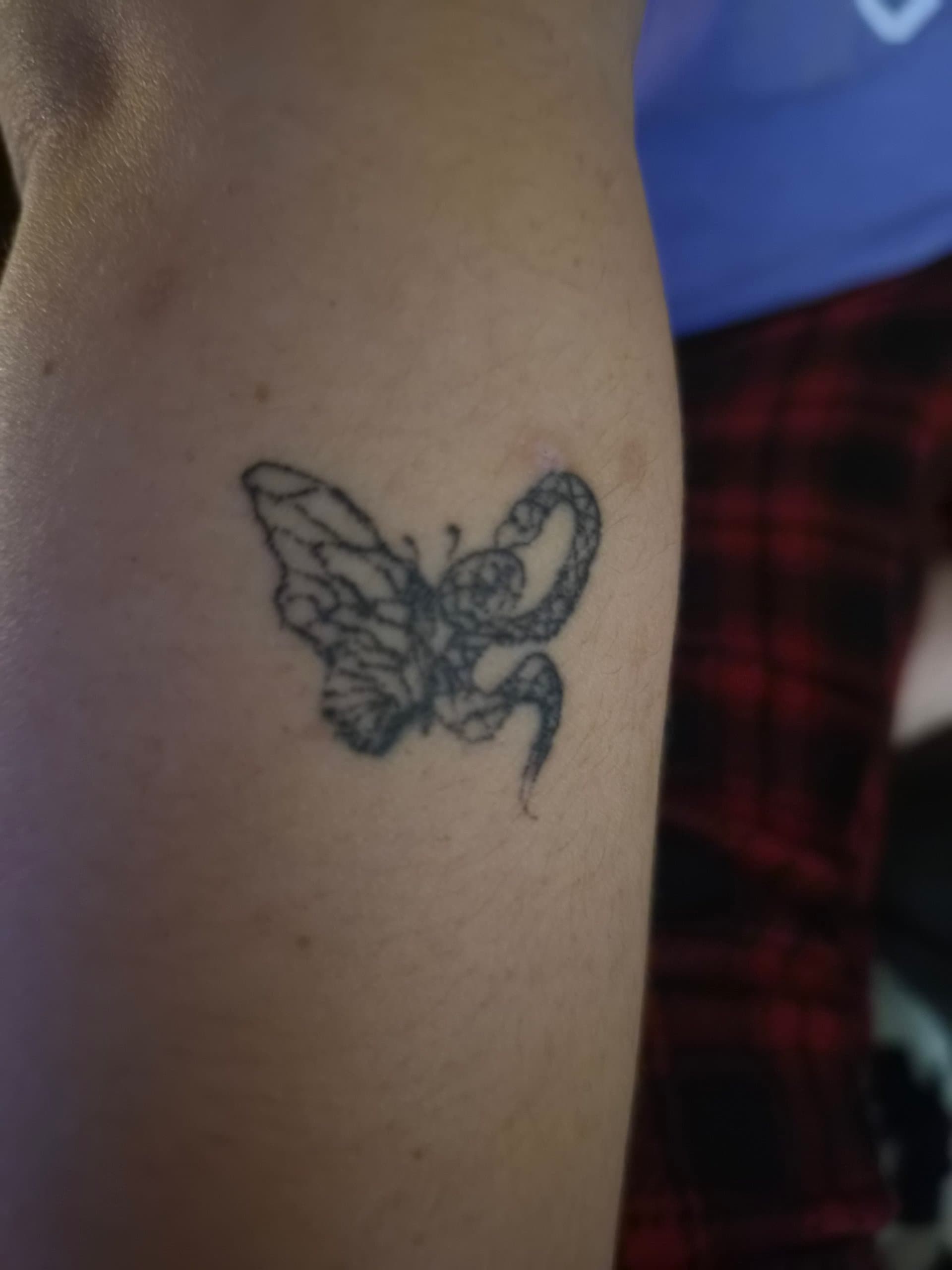 butterfly freestyle